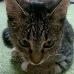 Meet your Posher, Ivana